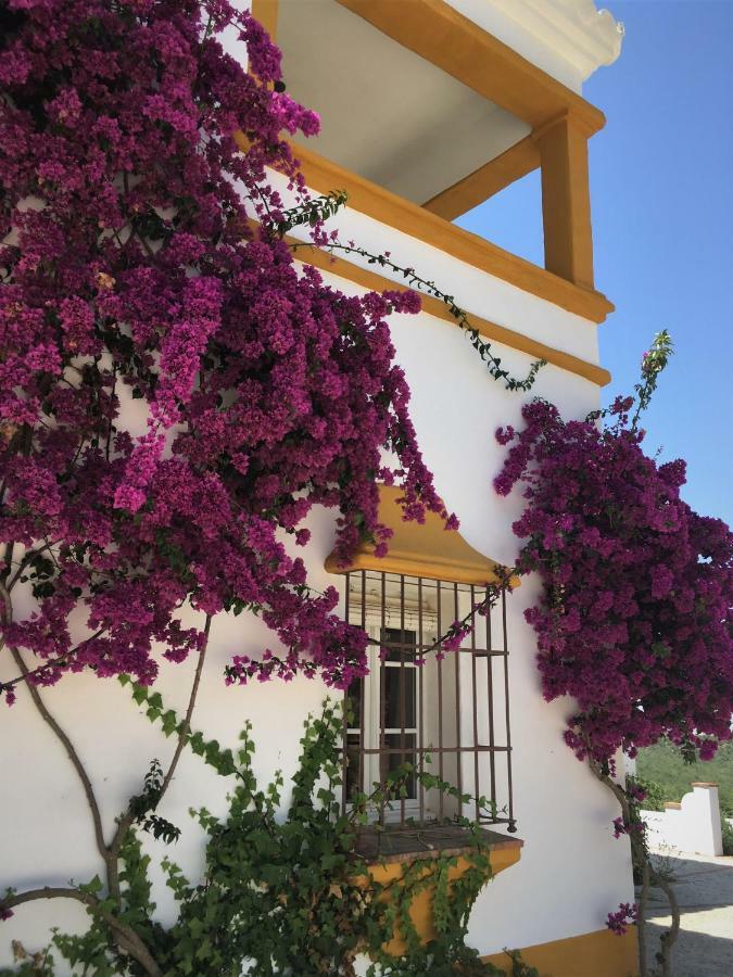 Hacienda La Morena Casa de hóspedes Montellano Exterior foto