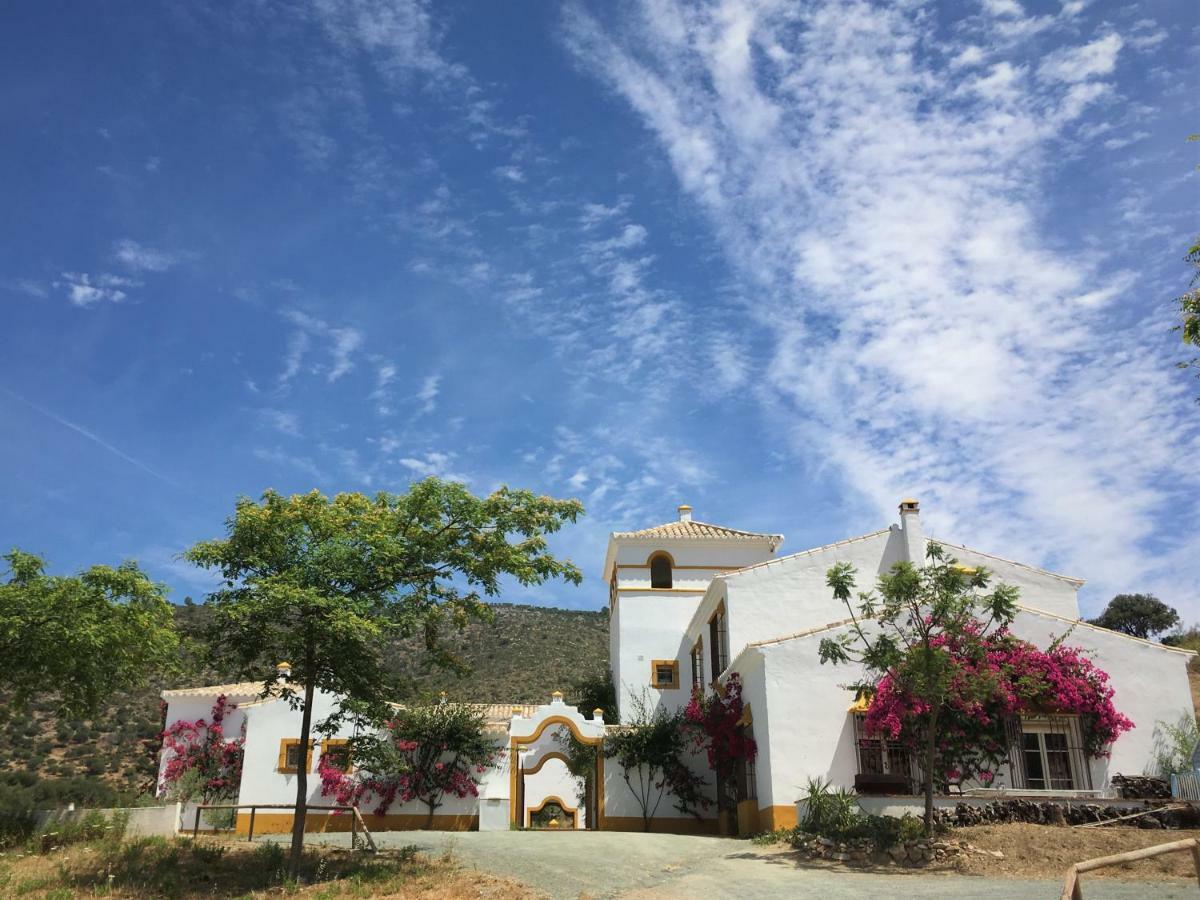 Hacienda La Morena Montellano Exterior foto